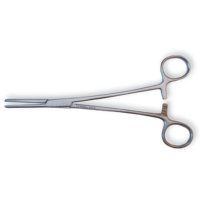 Single Use Spencer Wells Forceps 23cm - Straight x 10 23cm x10